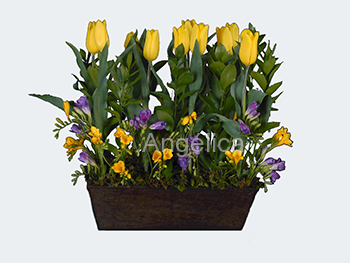 Arreglo de Tulipanes Amarillos